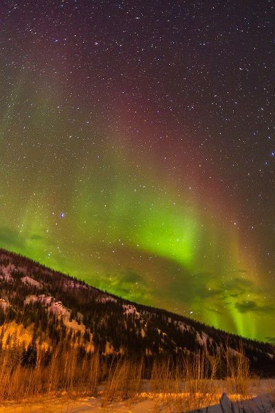 Alaska-Fairbanks Aurora borealis over mountain landscape